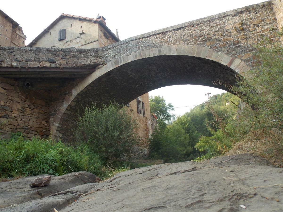 Le Cintrium Bed & Breakfast Viala-du-Tarn Dış mekan fotoğraf