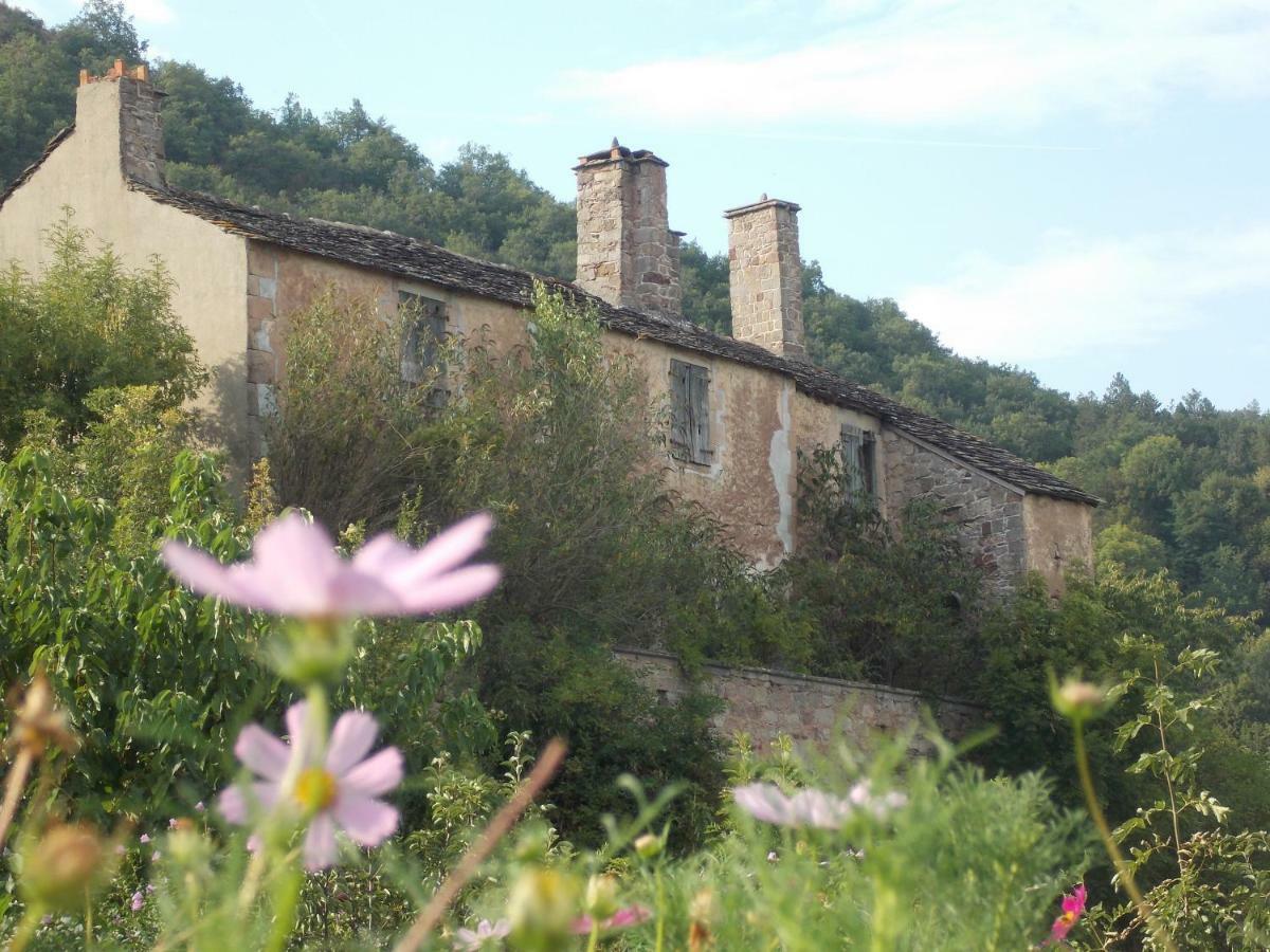 Le Cintrium Bed & Breakfast Viala-du-Tarn Dış mekan fotoğraf