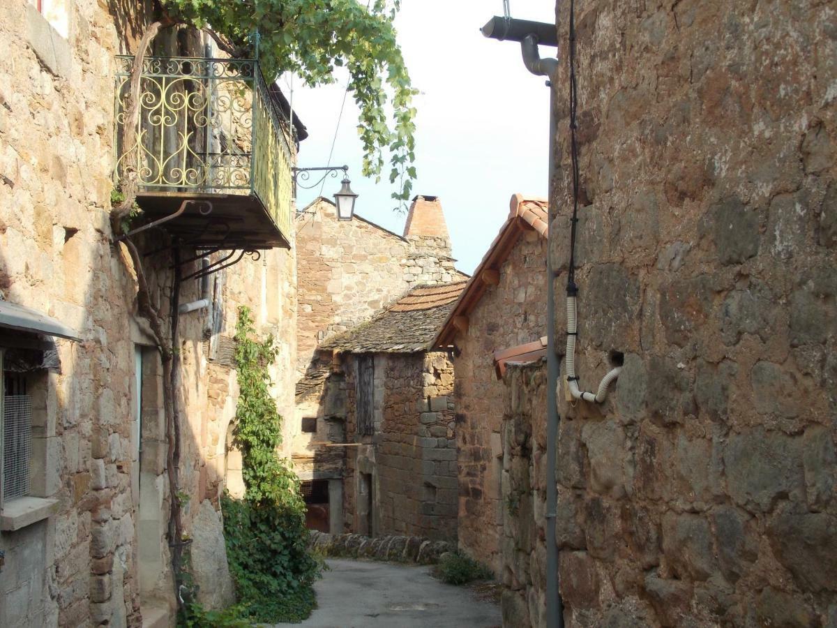 Le Cintrium Bed & Breakfast Viala-du-Tarn Dış mekan fotoğraf