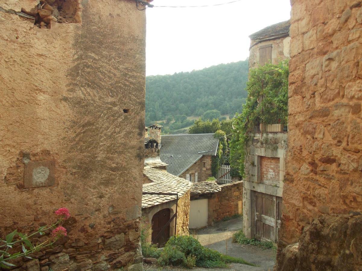 Le Cintrium Bed & Breakfast Viala-du-Tarn Dış mekan fotoğraf