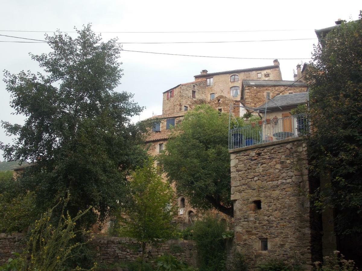 Le Cintrium Bed & Breakfast Viala-du-Tarn Dış mekan fotoğraf