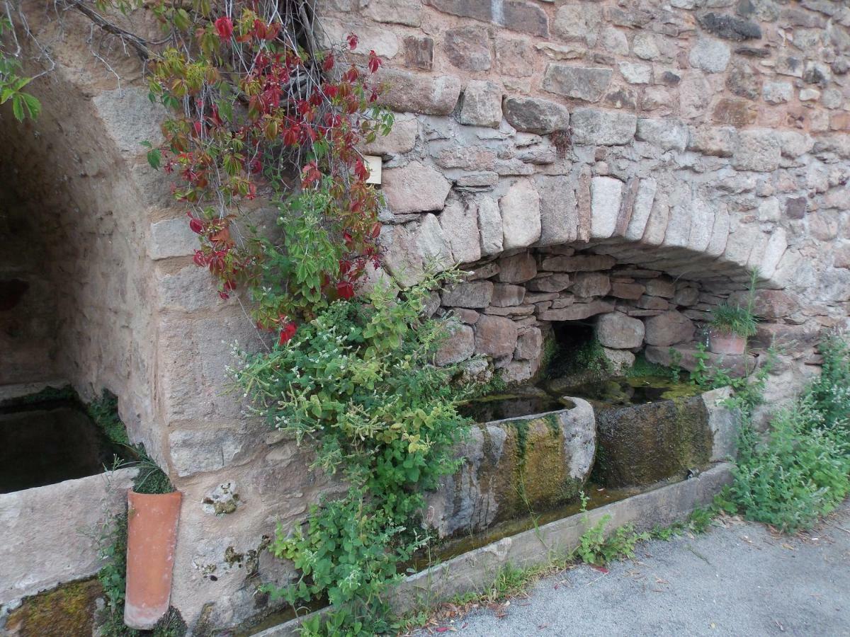 Le Cintrium Bed & Breakfast Viala-du-Tarn Dış mekan fotoğraf